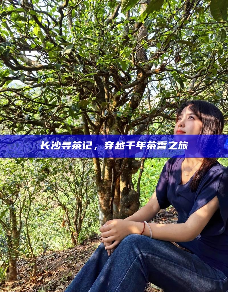 长沙寻茶记,穿越千年茶香之旅