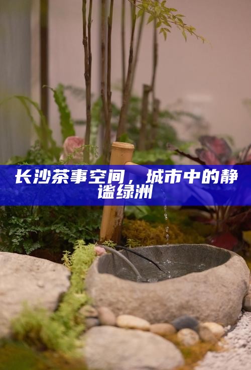 长沙茶事空间，城市中的静谧绿洲
